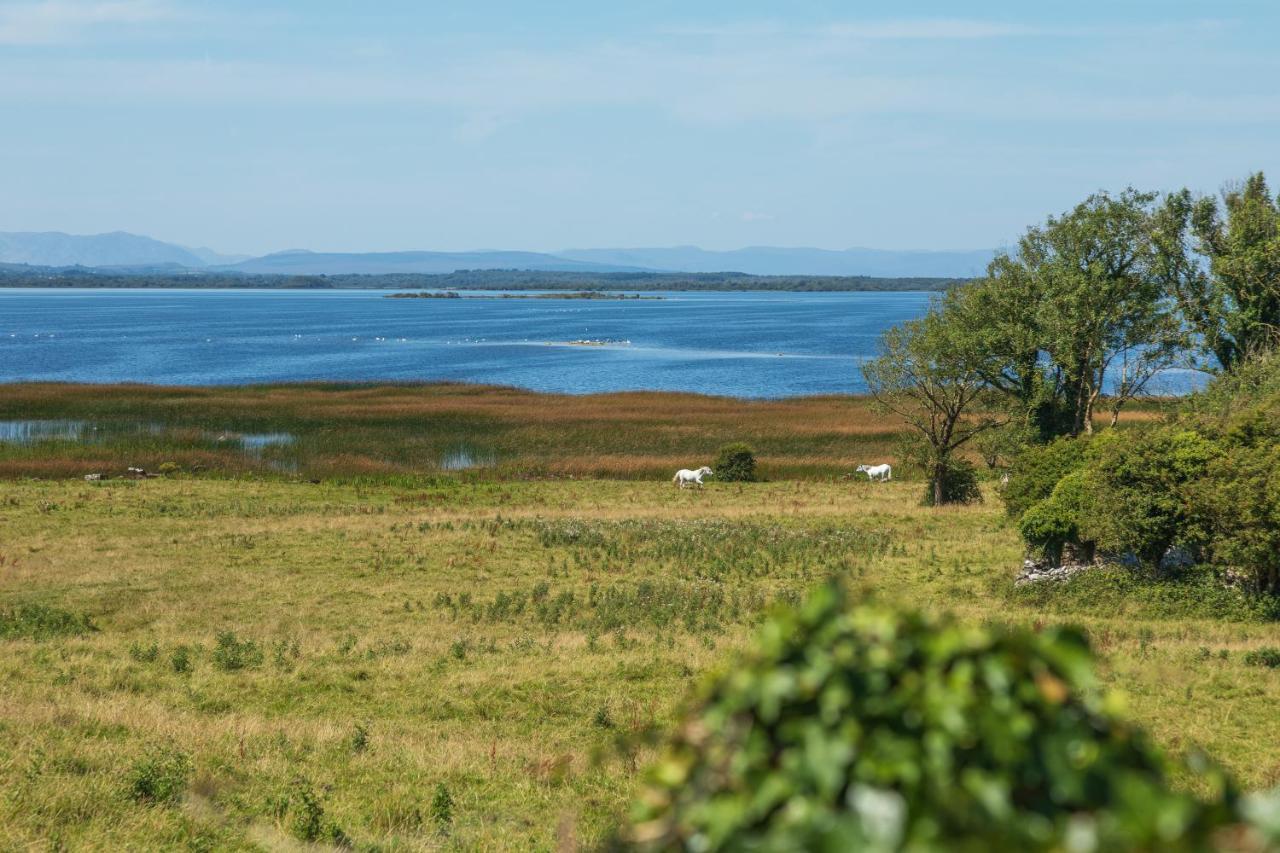 Coach House Cottage On The Shores Of Lough Corrib Galway Esterno foto